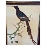 Tobias Hoason Watercolor Bird Painting - Framed