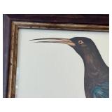 Tobias Hoason Watercolor Bird Painting - Framed