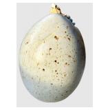 Dean Thompson Hatching Egg Dragon Studio Pottery