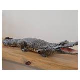 28" Alligator Taxidermy