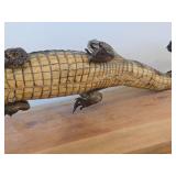 28" Alligator Taxidermy