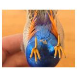 Lot of (2) Peacock theme Handcrafted Hand-painted Table Statues