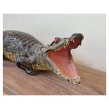 Vintage Taxidermy Caiman from 19th Century