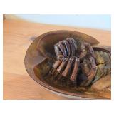 Preserved Specimen / Molt / Shed Exoskeleton of a Horseshoe Crab