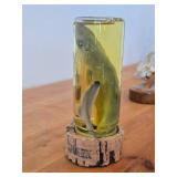 Vintage 8" Baby Shark in a Jar