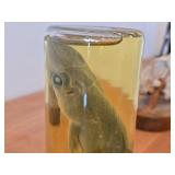 Vintage 8" Baby Shark in a Jar