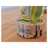 Vintage 8" Baby Shark in a Jar