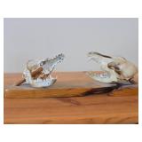 Lot of (2) Taxidermy Art of  Coyote Skulls on a Wooden Plank for Display on a Mantle