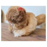 Lot of (2) Plush Toys - Kitten, Woolly Mammoth with Leather Ears and Tusks