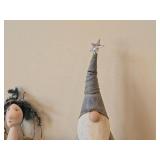 Enchanted Forest 15" Pastel Tabletop Gnome (Metal) + 22" Handmade Decorative Fairy Doll / Ballerina (Cloth)