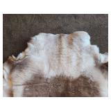 Deer theme Sheepskin Area Rug 54" x 54"