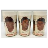 1965 Minnesota Twins American League Champions Cups And more
