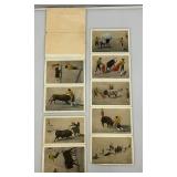 Misc. Vintage Collectibles Including Slides, Polaroid Items And More