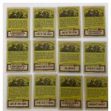 1978 Battlestar Gallactica & 1988 Horror Trading Cards