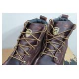 Irish Setter Ashby Men
