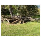 XXL Firewood (3)
