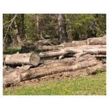 XXL fire wood