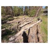 XXL fire wood