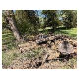 XXL Firewood (3)