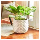 Pineapple Planter 14 qt Resin White (4 pack)