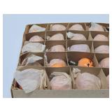 NOS Box of 24 Original 1940