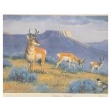 Framed Signed Numbered ARTIST PROOF Print by Les Kouba - "Antelope Paradise"