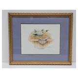 Framed Signed Numbered Print by Les Kouba - "Australian Diamond Doves"