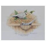 Framed Signed Numbered Print by Les Kouba - "Australian Diamond Doves"