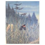Framed Signed Numbered Print by Les Kouba - "May in Minnesota" w/Loons