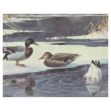 Framed Signed Numbered Print by Les Kouba - "Mallards on Ice"