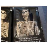 Two Pose-N-Stay Skeleton