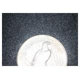1925 U.S. Peace Silver Dollar