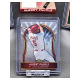 St. Louis Cardinal