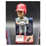 St. Louis Cardinal