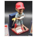 St. Louis Cardinal