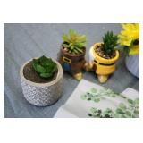 Artificial flower and succulent dis...