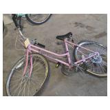 Kent Terra 25" Women