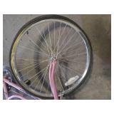 Kent Terra 25" Women