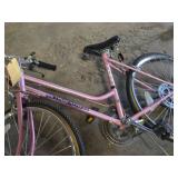 Kent Terra 25" Women