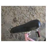 Kent Terra 25" Women