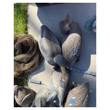 Mallard Duck Decoys - Used Waterfowl Hunting Decoys