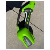 Greenworks 40V Pruner (Model 20672)