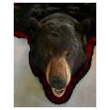 Bear Skin Rug - Bear Hide with Red Trim - Real Fur Floor or Wall Accent