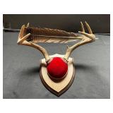 Deer Antler Trophy Mount on Shield-Style Wooden Plaque