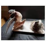 Pair of Mounted Ducks
