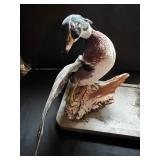 Pair of Mounted Ducks