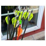 Assorted Archery Arrows with Neon Fletching