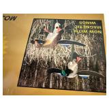 MOJO Outdoors Twin Pack Magnetic Wings Duck Decoys - Drake & Hen In Orig Box