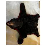 Bear Skin Rug - Bear Hide with Red Trim - Real Fur Floor or Wall Accent