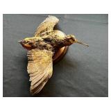 Bird Mount on Wooden Base (Unknown Species) Possible American Woodcock
